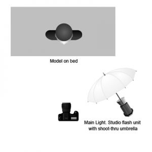 Laura in Glasses, by Paul Jones - lighting diagram